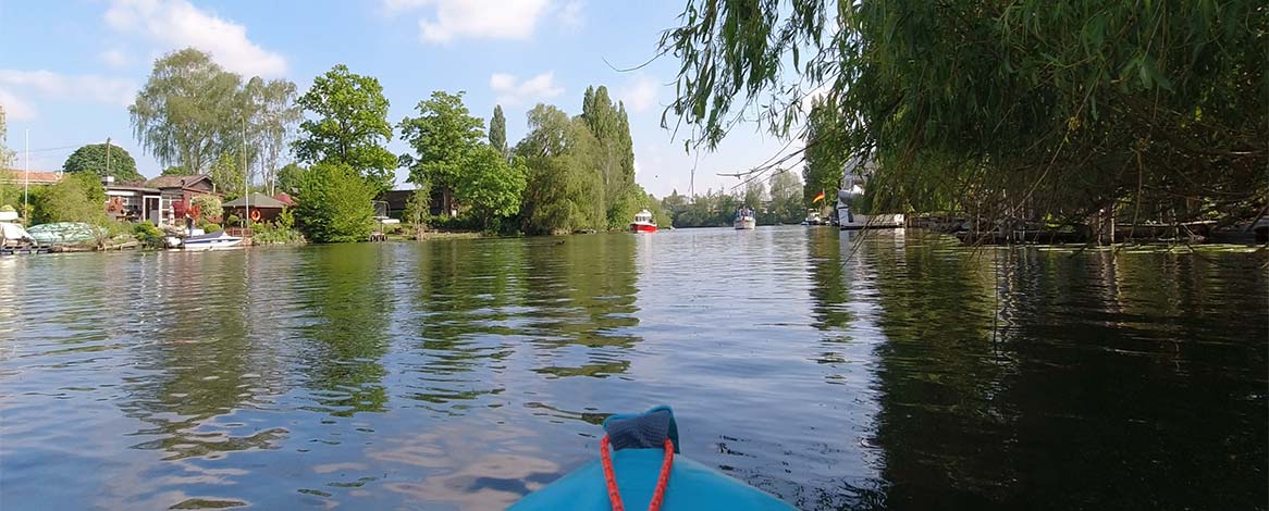 Bild von der Paddeltour um die Billerhuder Insel mit Blick aus dem Kanu heraus auf die Bille und Schrebergärten