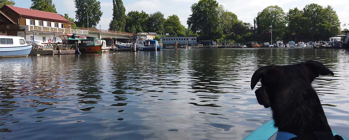 Bild von der Paddeltour um die Billerhuder Insel mit Blick aus dem Kanu heraus auf die Billerhuder Insel und die Braune Brücke