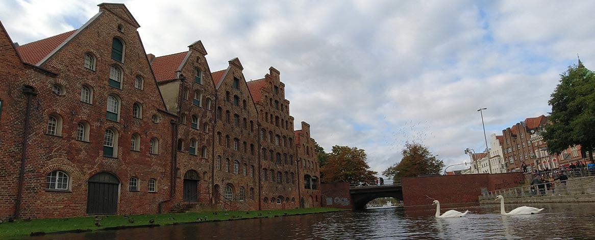 Salzspeicher in Lübeck mit Schwänen, die auf der Trave schwimmen