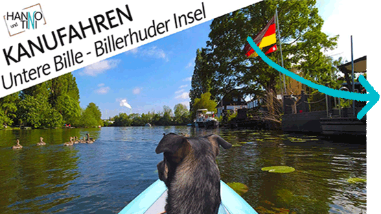 Tumbnail zum Video Paddeln um die Billerhuder Insel mit Blick auf Bille aus Kanu heraus