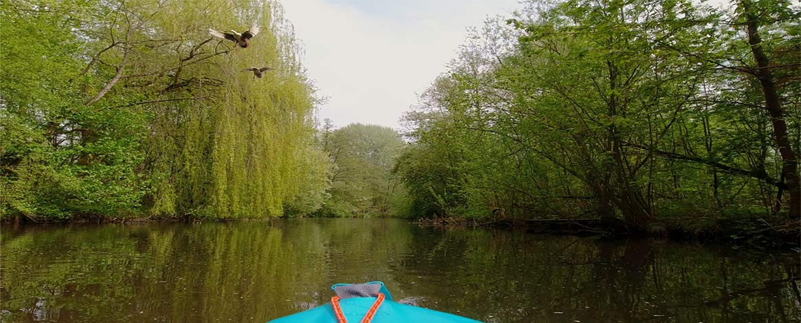 Blick auf die obere Bille im Bergedorfer Bille Park mit aufs Kanu zufliegenden Wildvögeln und Bäumen am Ufer