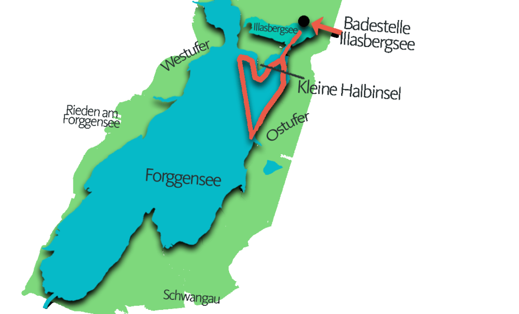 Skizzierte Route der Kanutour auf dem Forggensee mit See in Türkis, Grünflächen in Grün und Wegangabe in Orange