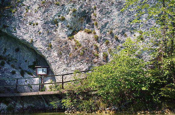 Hölzerne Infotafel am Rundwanderweg des Weißensees im Ostallgäu